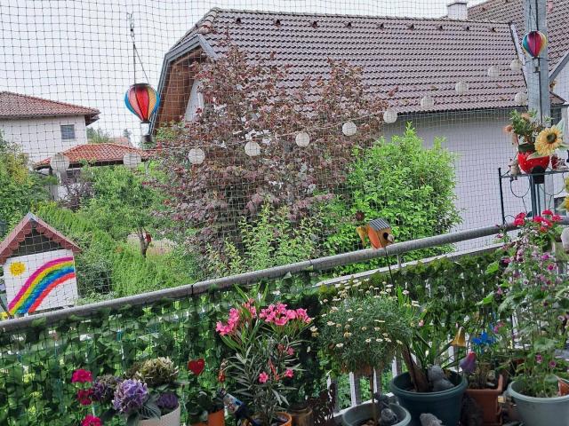 Apartment mieten in Hohenzell, Oberösterreich