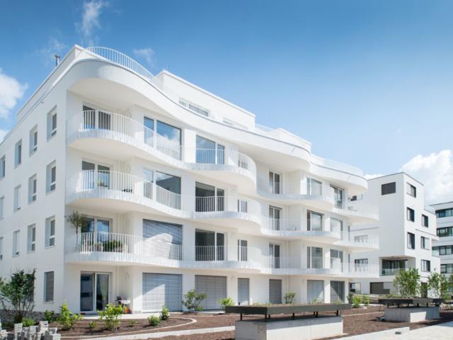 Apartment mieten in Süd, Ludwigshafen