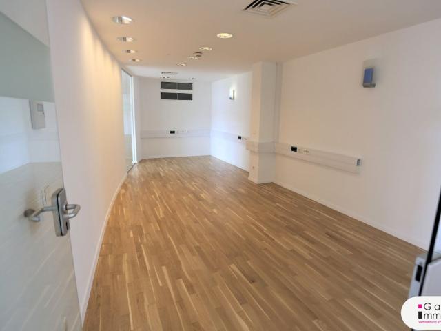 Büro mieten in Seestadt, Wien