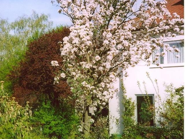 Haus kaufen in Bad Vilbel, Hessen