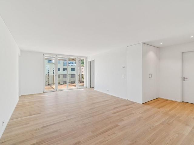 Apartment mieten in Aesch, Maur