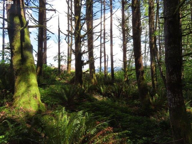 Land for sale in Washington