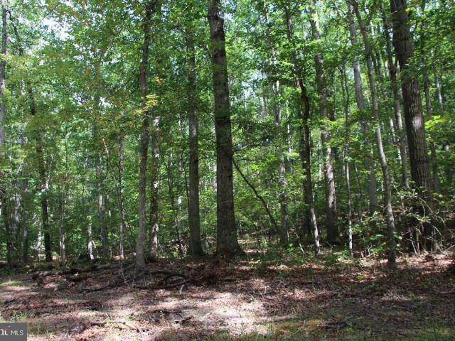 Land for sale in De Haven, Winchester