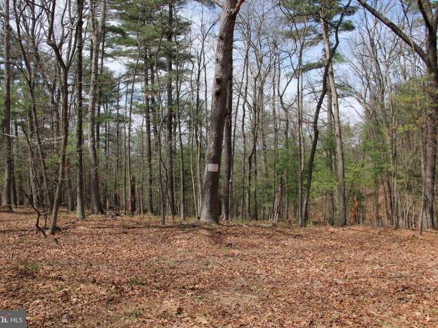 Land for sale in Virginia
