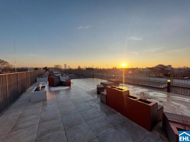 Apartment mieten in Floridsdorf, Wien