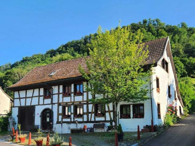Bauernhaus kaufen in Zurzach, Aargau