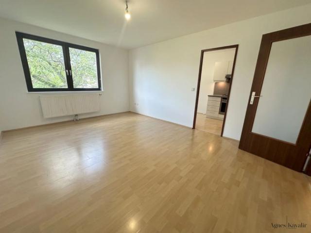 Apartment mieten in Wieden, Wien