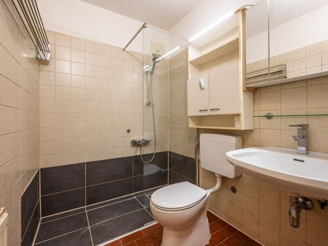 Wohnung kaufen in Seestadt, Wien