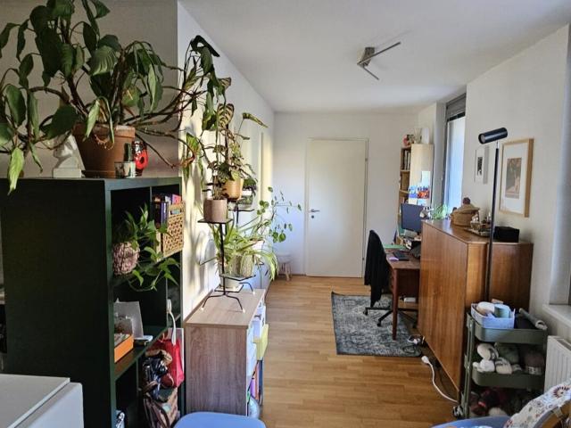 Wohnung mieten in Seestadt, Wien