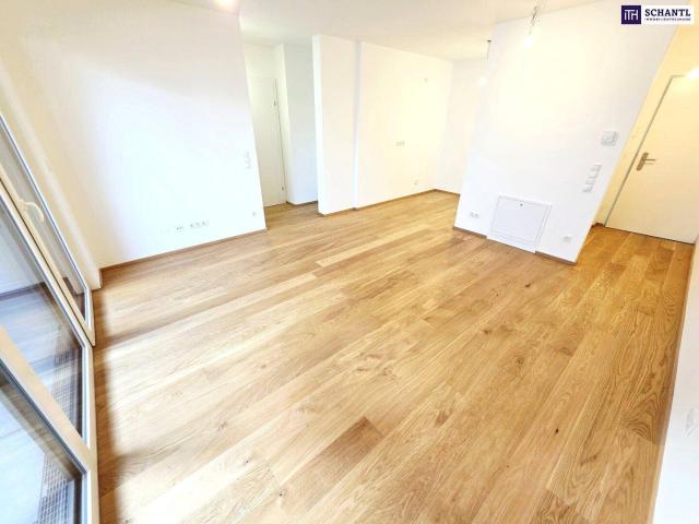 Apartment kaufen in Liesing, Wien