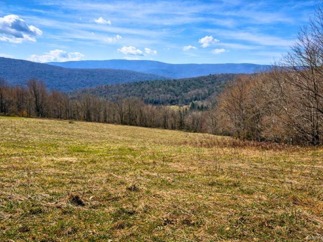 Land for sale in New York