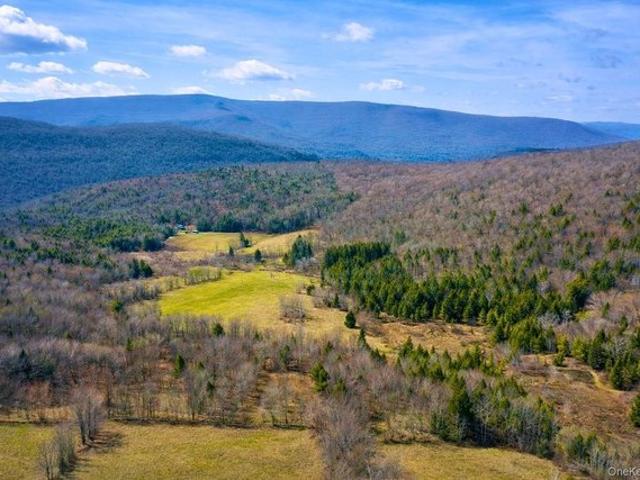 Land for sale in New York