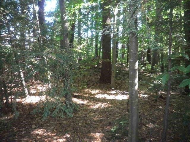 Land for sale in New Hampshire