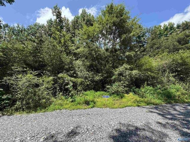 Land for sale in Albertville Land for sale in Albertville
