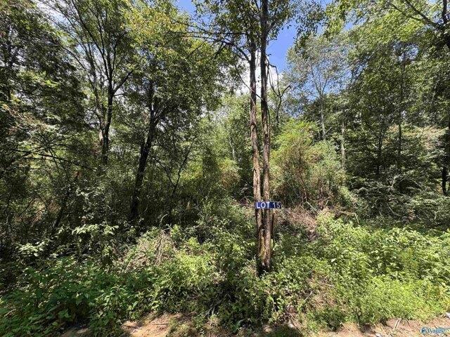 Land for sale in Albertville Land for sale in Albertville