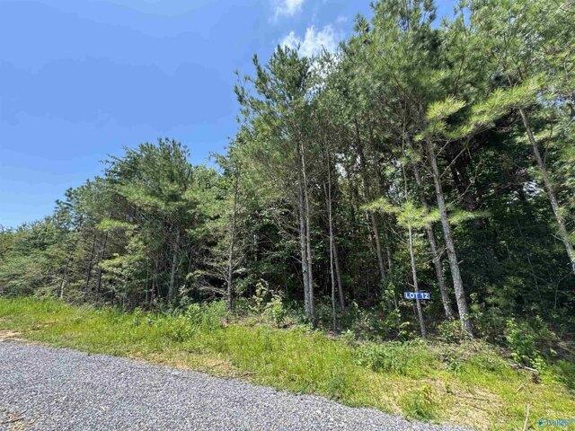 Land for sale in Albertville Land for sale in Albertville