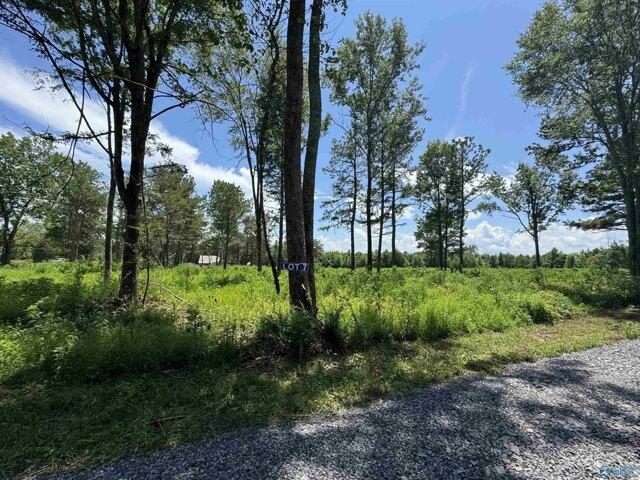 Land for sale in Albertville Land for sale in Albertville