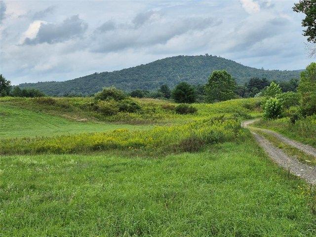 Land for sale in Greene, New York