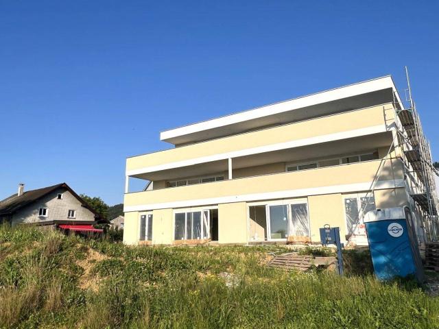 Apartment mieten in Hohenweiler