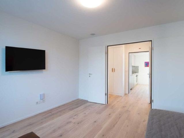 Apartment mieten in Hard, Zürich