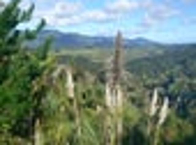 Land for sale in Ohaeawai, Northland