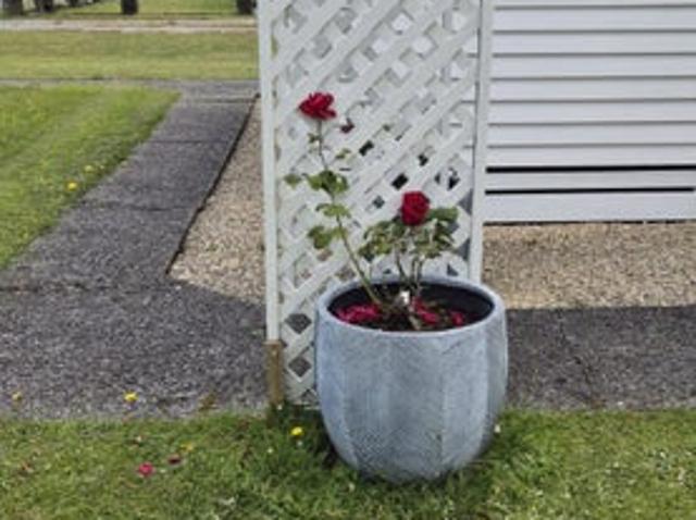 House for rent in Hokitika, West Coast