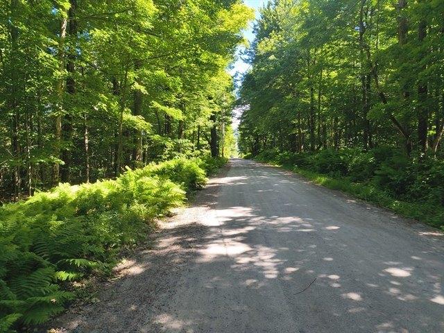 Land for sale in Hampden, Massachusetts