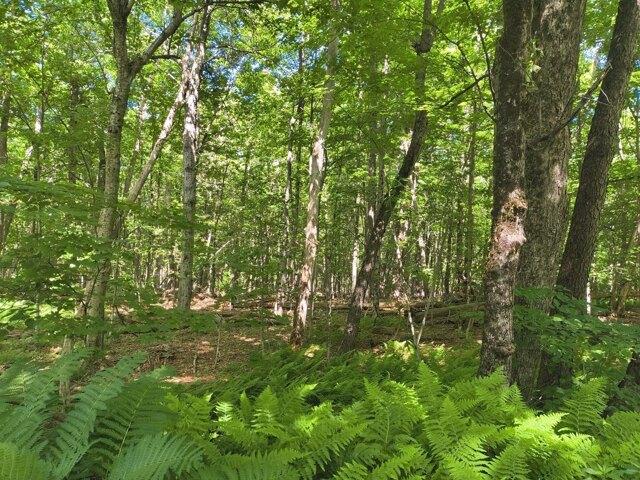 Land for sale in Chester Center Historic District, Chester