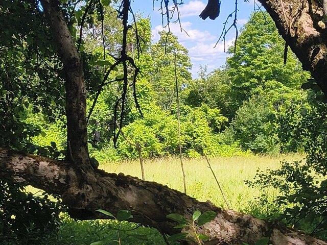Land for sale in Chester Center Historic District, Chester