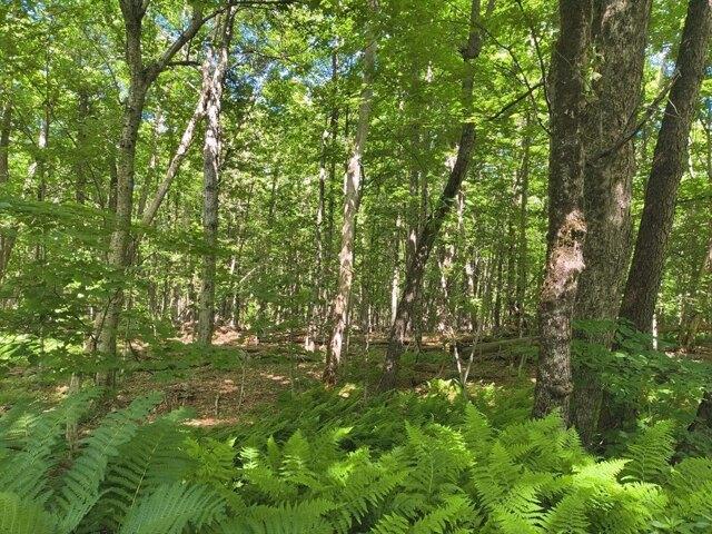 Land for sale in Hampden, Massachusetts