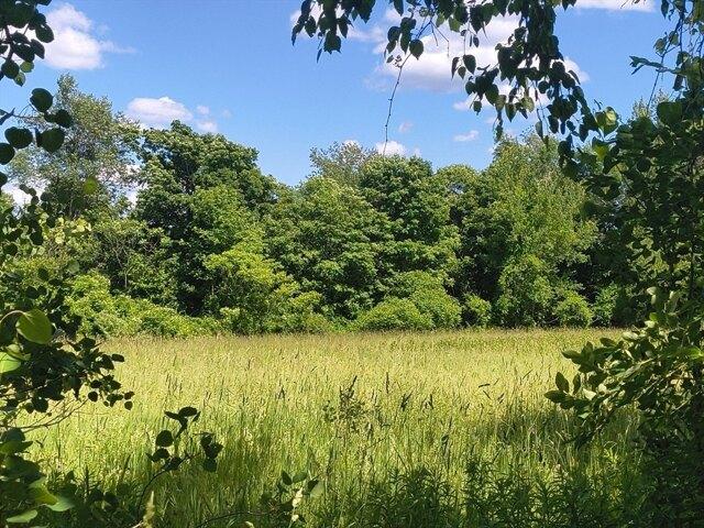 Land for sale in Hampden, Massachusetts