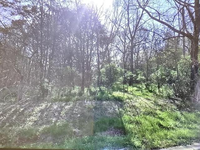 Land for sale in Ringgold, Catoosa County