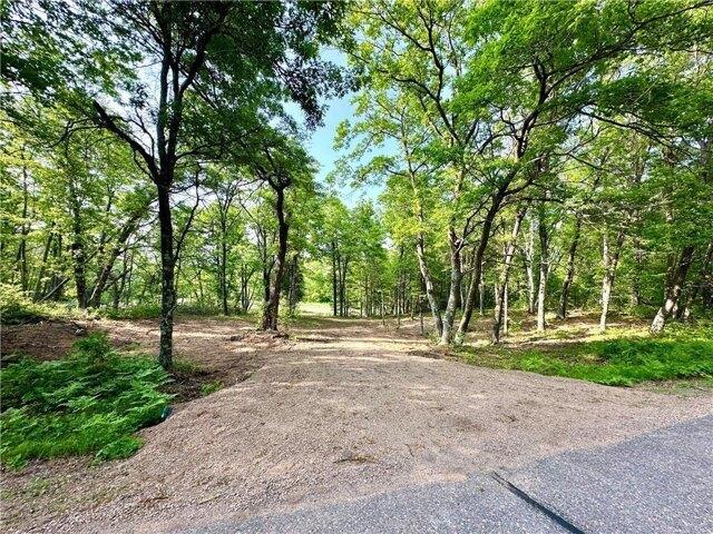 Land for sale in Holcombe, Wisconsin