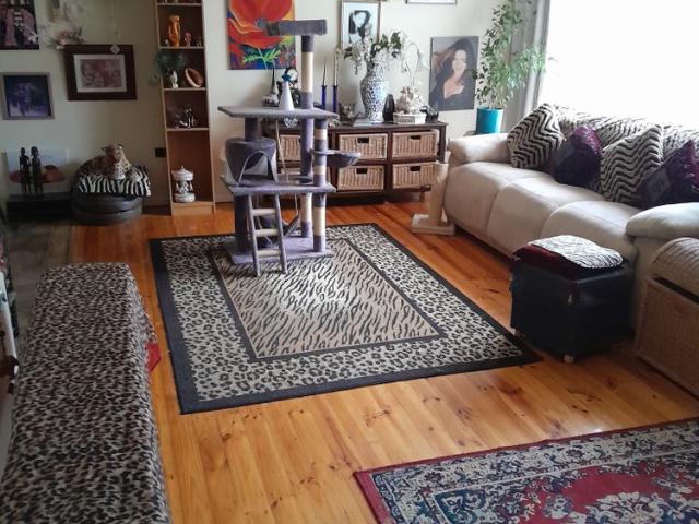Room for rent in Horseshoe Creek, South Australia