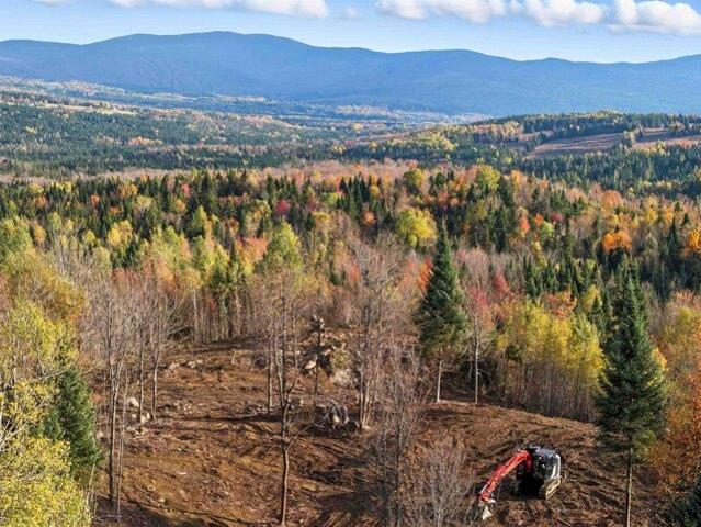 Land for sale in New Hampshire