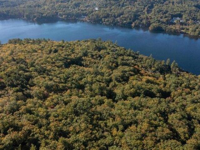 Land for sale in New Hampshire