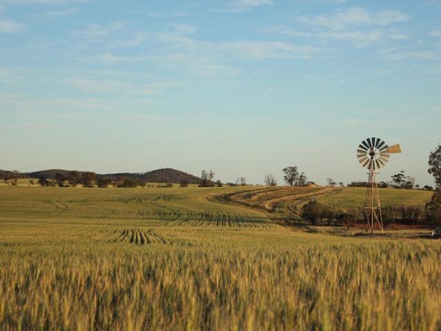 Property for sale in Pinkawillinie, South Australia