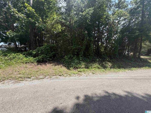 Land for sale in Blount, Alabama