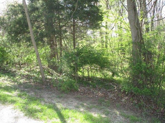 Land for sale in Crawfordsville, Montgomery County