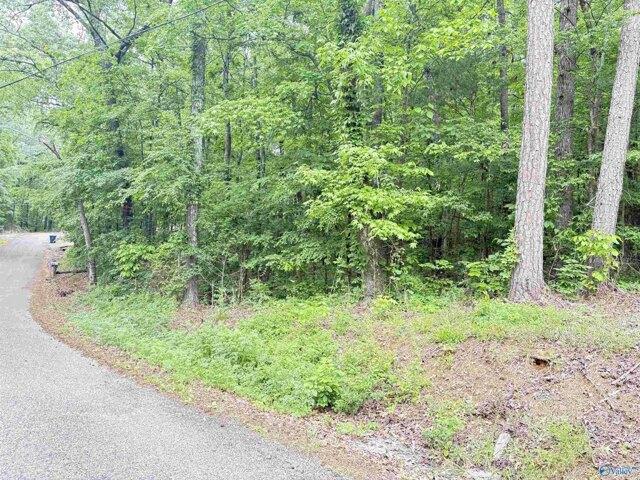Land for sale in Scottsboro