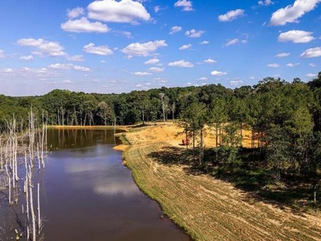 Land for sale in Newton, Dale County