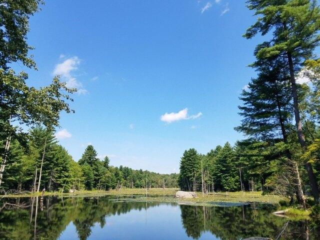 Land for sale in Fiskdale, Massachusetts