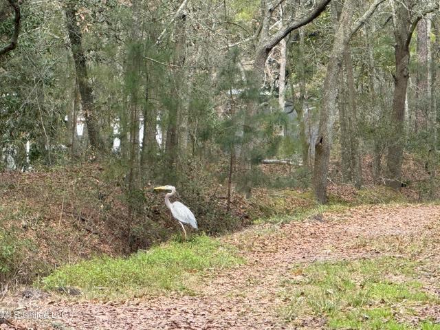 Land for sale in Pascagoula, Mississippi