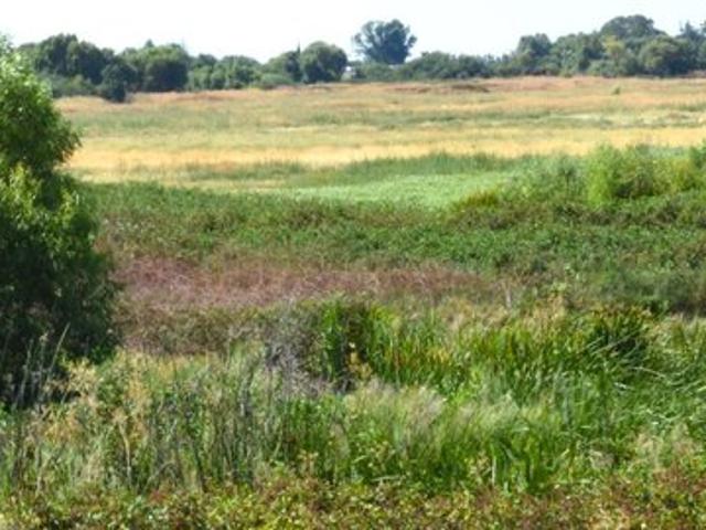 Land for sale in Knightsen, California