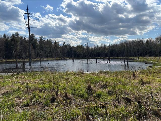 Land for sale in Worcester, New York