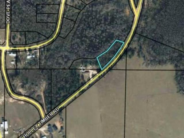 Land for sale in Cottondale, Florida