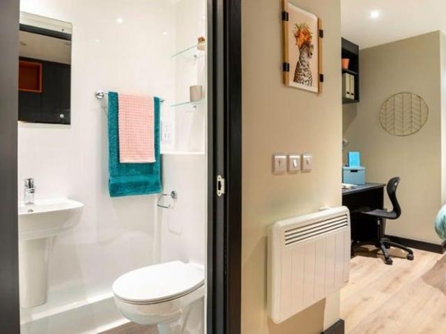 Studio for rent in Brighton, Queen's Park