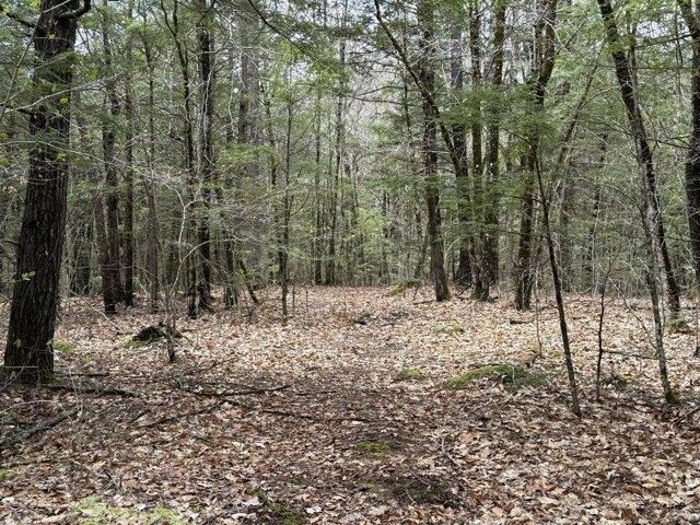 Land for sale in Hollis Center, Maine