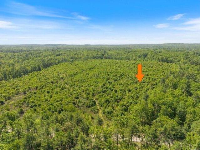 Land for sale in South Hollis, Hollis