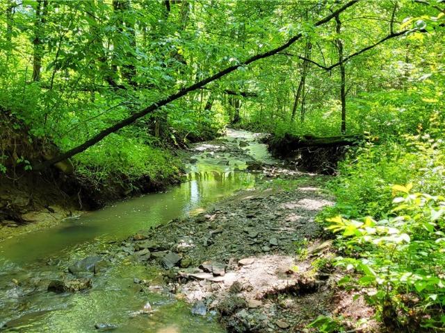 Land for sale in Dudley, Caldwell